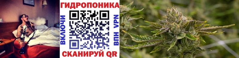 Купить наркотики цена Элиста Альфа ПВП  АМФЕТАМИН  KRAKEN ONION  Гашиш  Бошки Шишки 