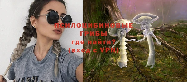 сатива Абдулино