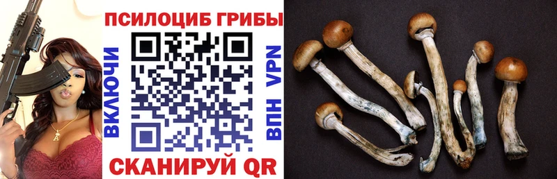 Псилоцибиновые грибы MAGIC MUSHROOMS Элиста