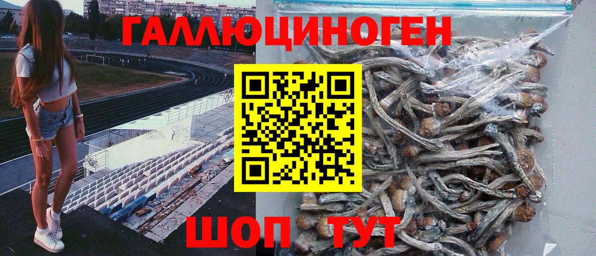 Галлюциногенные грибы MAGIC MUSHROOMS Элиста