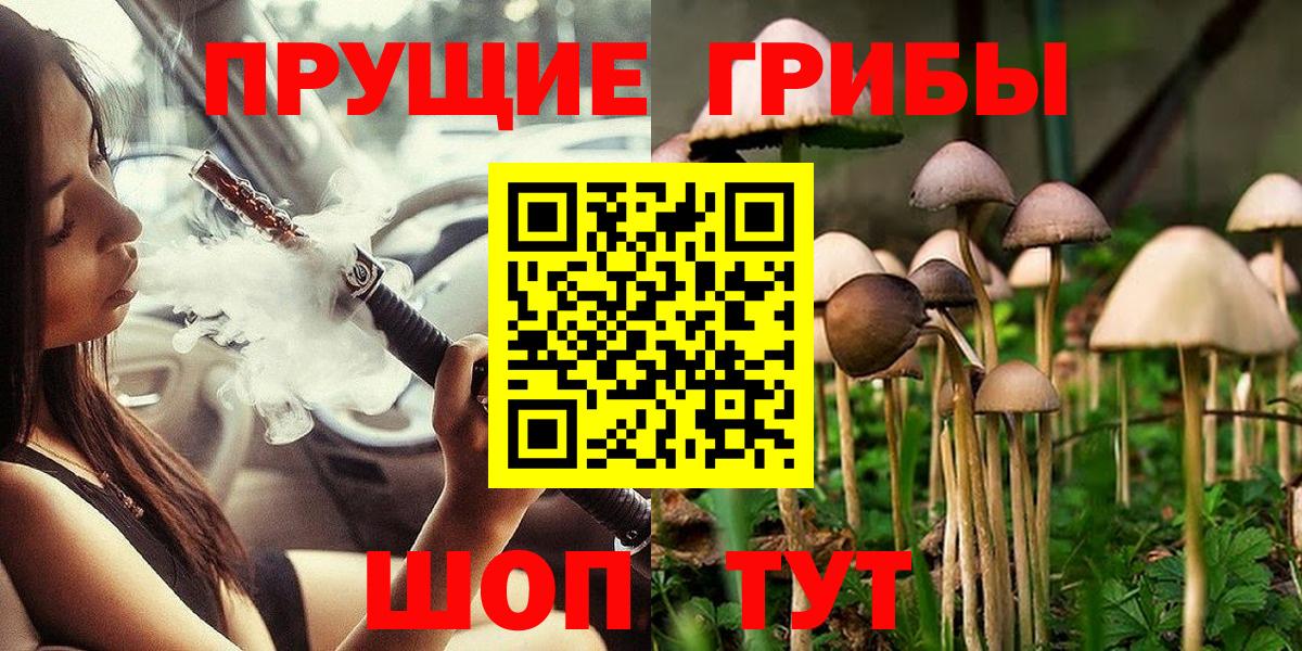 Элиста  Псилоцибиновые грибы MAGIC MUSHROOMS  Вход с VPN 