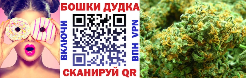 наркота  hydra зеркало  Конопля сатива  Элиста 